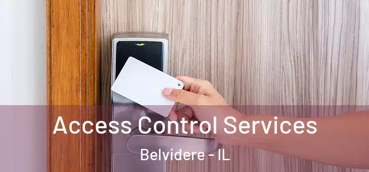 Access Control Services Belvidere - IL