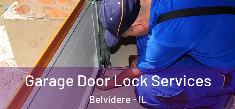 Garage Door Lock Services Belvidere - IL