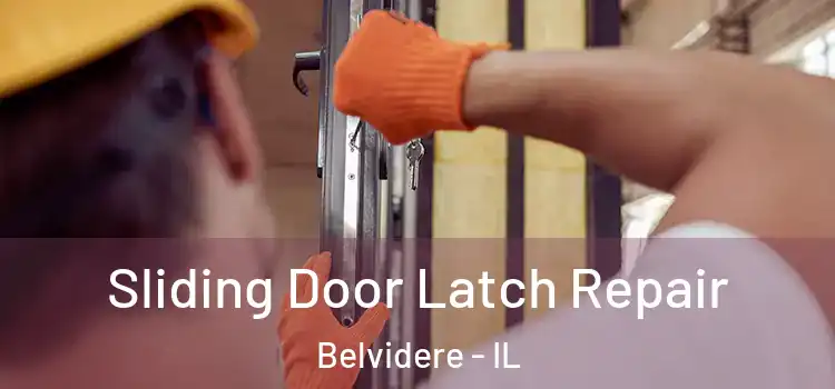 Sliding Door Latch Repair Belvidere - IL
